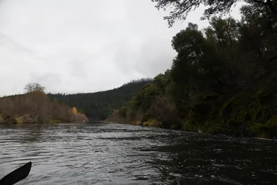 DSC_0206 (Large).JPG